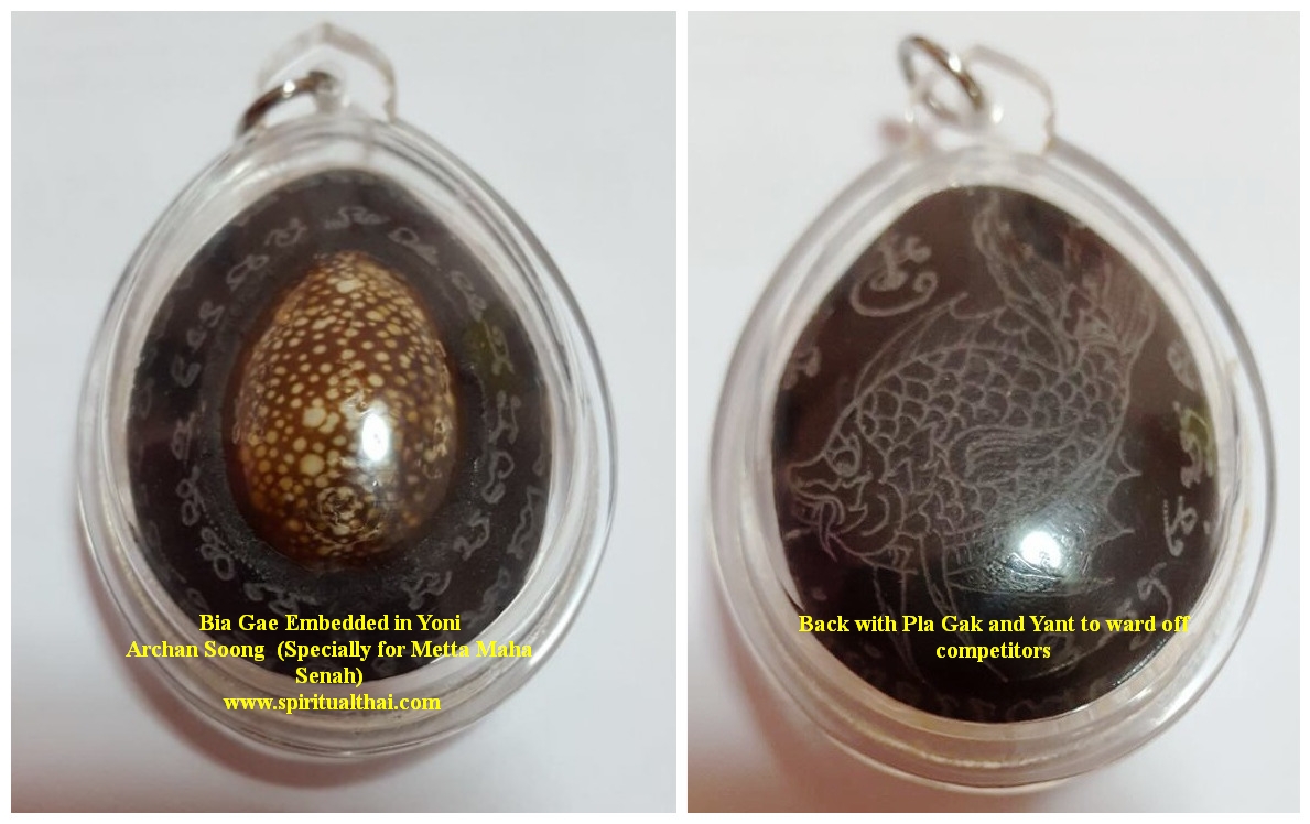 Bia Shell Bia Gae (Sea Shell)